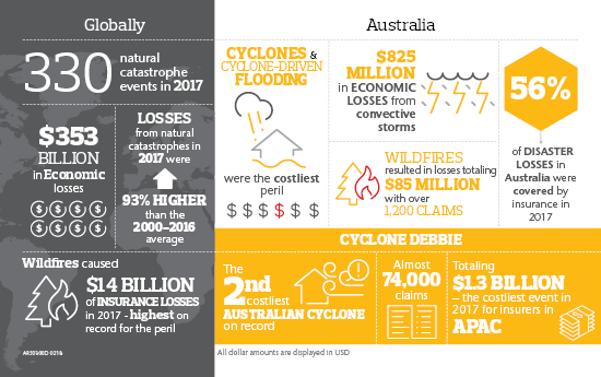 Catastrophe Report Infographic